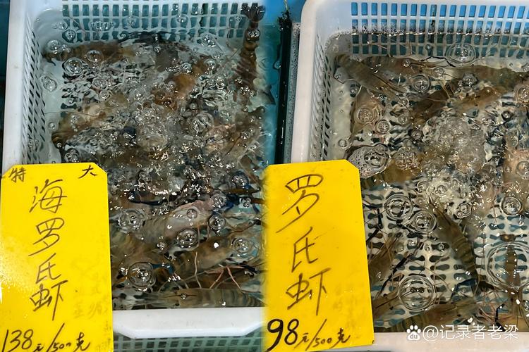2025罗氏沼虾价格行情将如何走势？-图1
