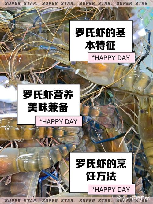 2025罗氏沼虾价格行情将如何走势？-图3