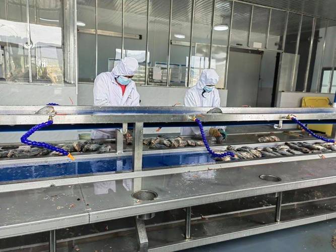 国家罗非鱼产业技术体系如何助力产业升级?-图1 国家罗非鱼产业技术体系如何助力产业升级?-图1