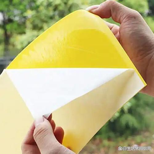 苍蝇蛆养殖技术关键步骤有哪些？-图2