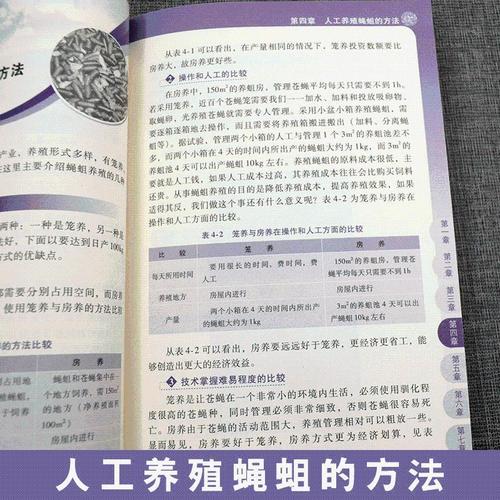 苍蝇蛆养殖技术关键步骤有哪些？-图1