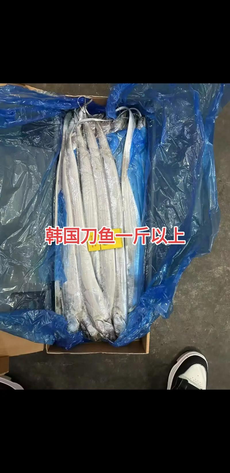 2025年长江刀鱼价格会涨还是跌?-图3 2025年长江刀鱼价格会涨还是跌?-图3