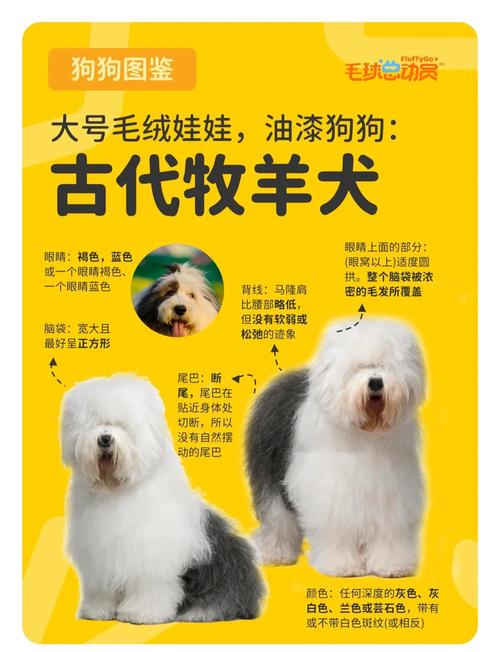 牧业国家是否提供优良品种？-图3