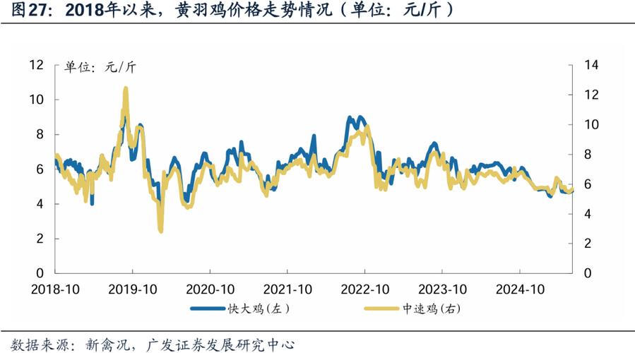 2025年鸡价会涨还是会跌?-图1 2025年鸡价会涨还是会跌?-图1