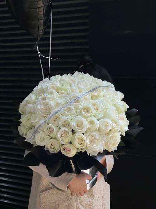 哪些白玫瑰品种既好看又好养?-图2 哪些白玫瑰品种既好看又好养?-图2