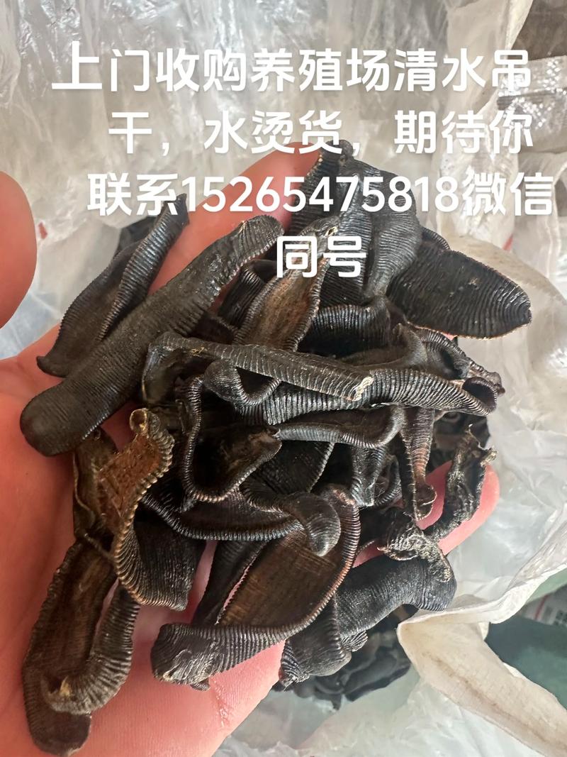 2025年4月水蛭价格会涨还是跌？-图2