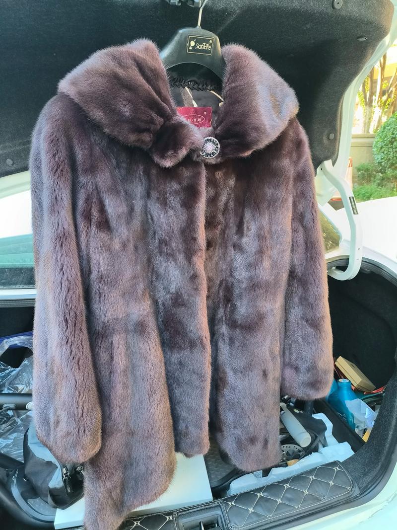 2025年3月貂皮价格走势如何?-图1 2025年3月貂皮价格走势如何?-图1