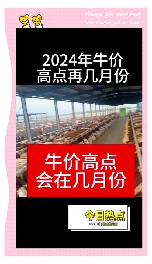 2025年黄牛价格为何下降?-图1 2025年黄牛价格为何下降?-图1