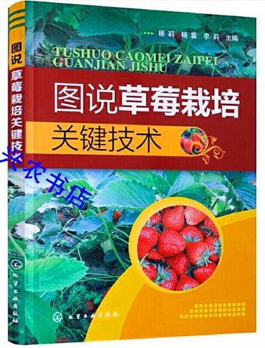 大棚草莓种植管理技术有哪些要点?-图1 大棚草莓种植管理技术有哪些要点?-图1