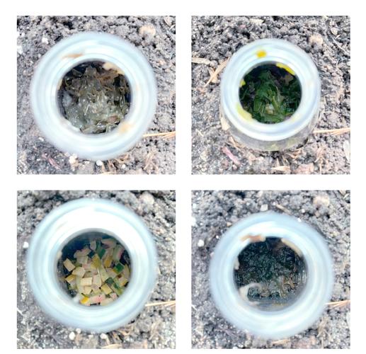 蝇蛆蚯蚓养殖技术如何高效利用?-图1 蝇蛆蚯蚓养殖技术如何高效利用?-图1