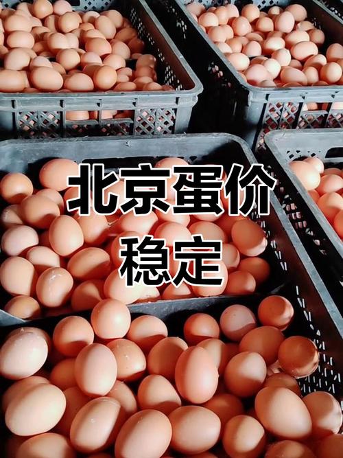 北京今日鸡蛋价格多少钱一斤？-图2