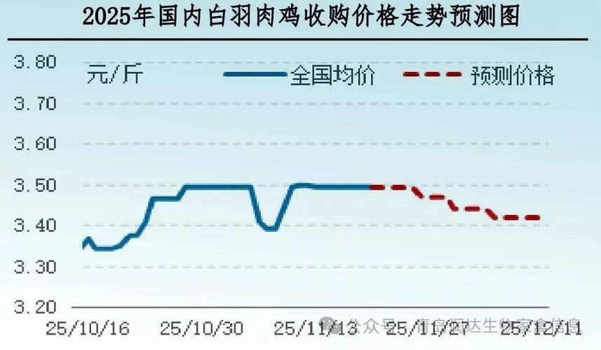 今日德州817毛鸡价格多少？-图2