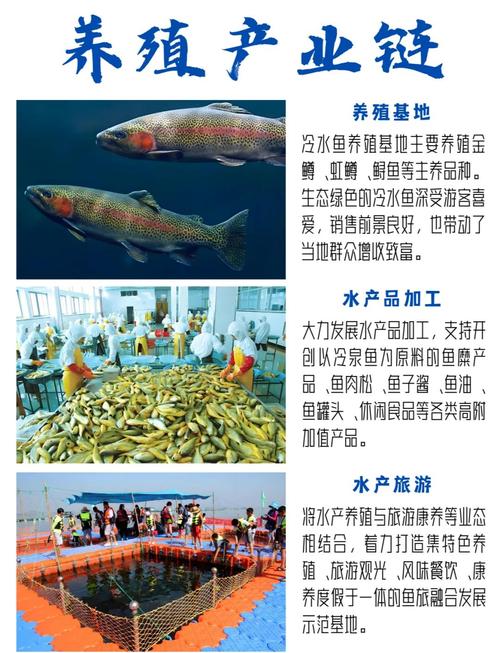 镇宁思源冷水鱼养殖技术有何秘诀？-图2