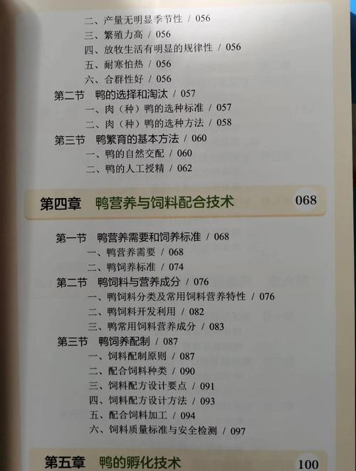 大棚养鸭技术培训PPT核心要点有哪些?-图1 大棚养鸭技术培训PPT核心要点有哪些?-图1