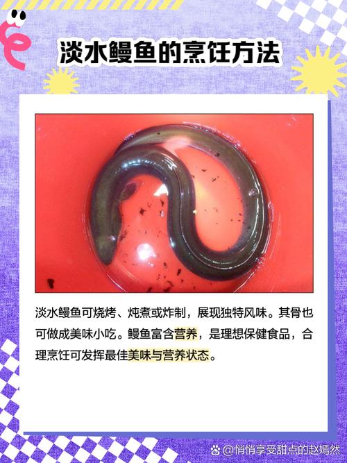 海南淡水鳗鱼养殖技术有哪些关键要点?-图1 海南淡水鳗鱼养殖技术有哪些关键要点?-图1