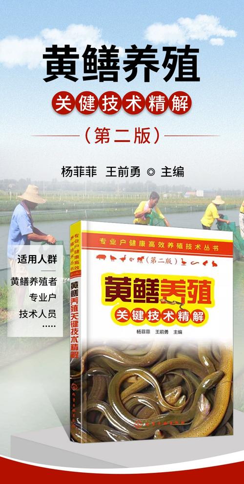 黄鳝育苗技术难点何在？-图3