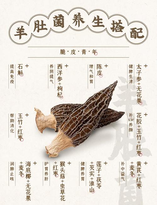 2025羊肚菌菌种价格会涨还是跌？-图2