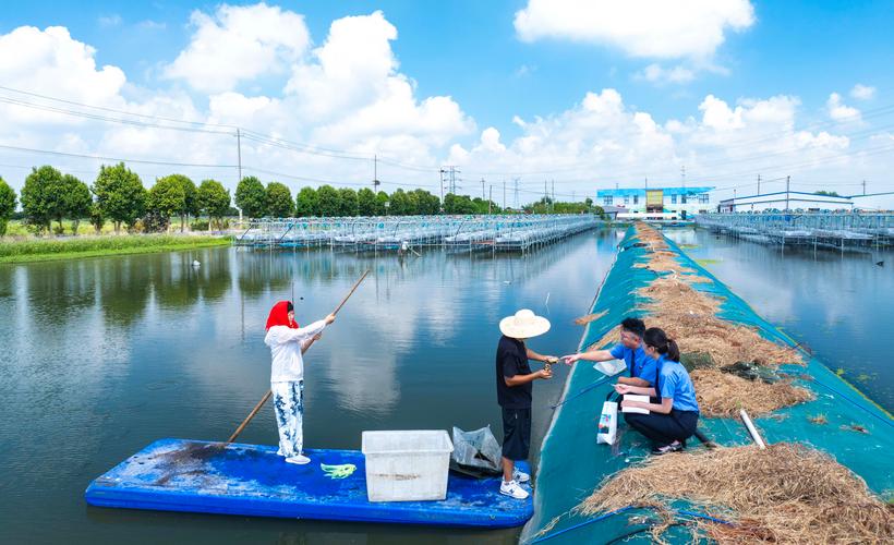 东北大闸蟹养殖技术视频,关键点在哪?-图3 东北大闸蟹养殖技术视频,关键点在哪?-图3