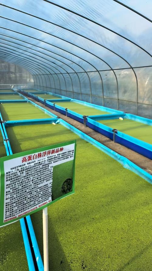 养殖河技术视频哪里能看?-图3 养殖河技术视频哪里能看?-图3