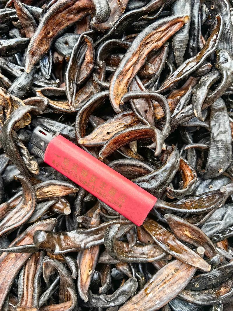 2025水蛭价格走势如何？-图2