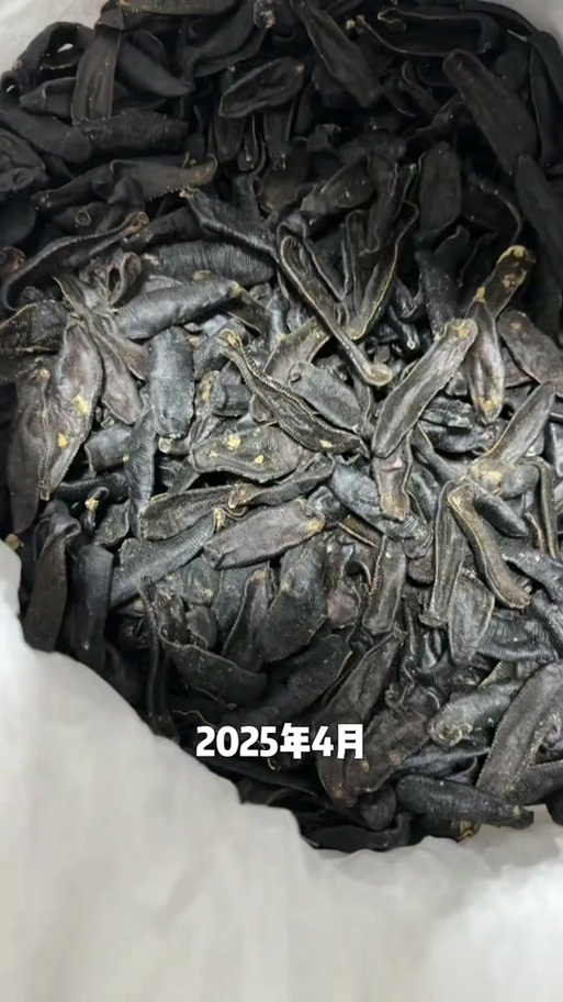 2025水蛭价格走势如何?-图1 2025水蛭价格走势如何?-图1