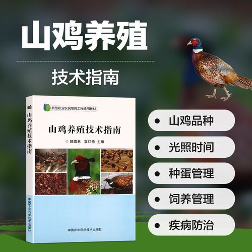 哪里能学正宗山鸡养殖技术？-图1