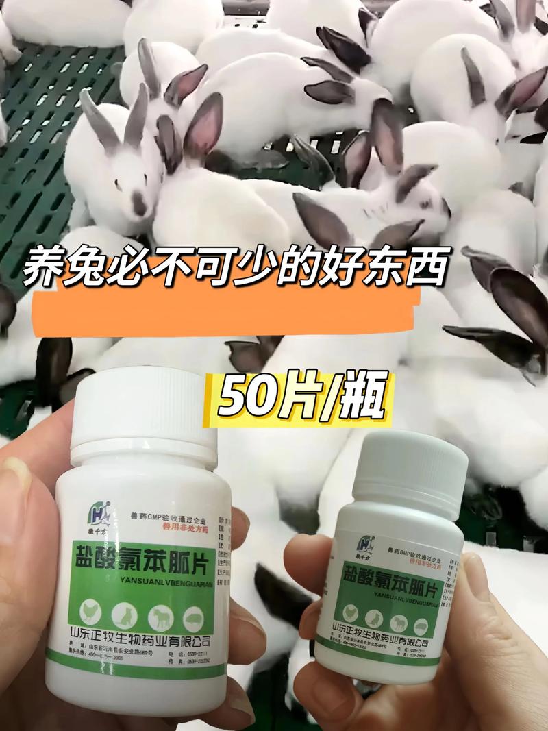 2025年肉兔皮价格会涨还是跌？-图1