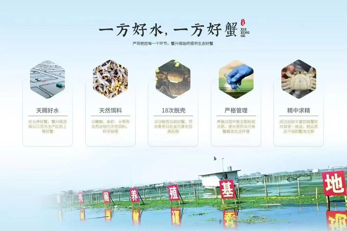 螃蟹养殖技术哪里学最正宗?-图1 螃蟹养殖技术哪里学最正宗?-图1