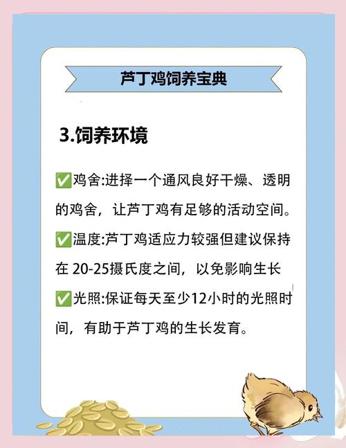 养小鸡技术视频哪里下载？-图2