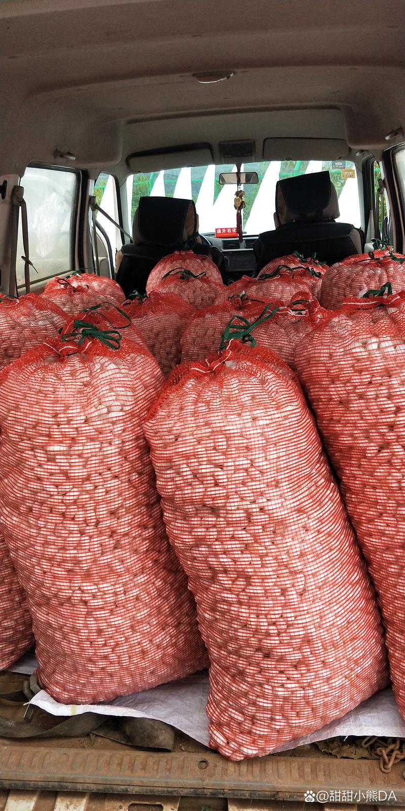 农村收购蚕茧价格最新行情如何?-图1 农村收购蚕茧价格最新行情如何?-图1