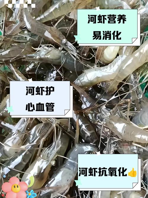 河虾养殖技术与要求有哪些关键点？-图2