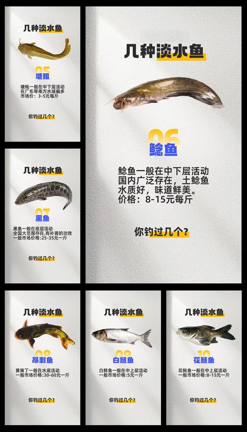 2025年鲤鱼价格会涨还是跌?-图2 2025年鲤鱼价格会涨还是跌?-图2