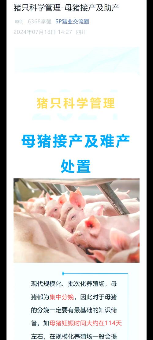 母猪养殖管理视频有哪些关键技术要点?-图3 母猪养殖管理视频有哪些关键技术要点?-图3