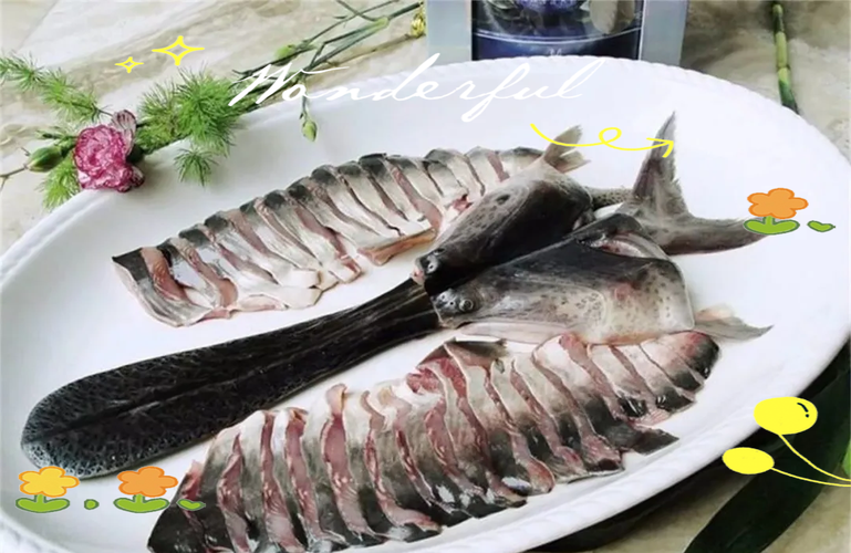 2025匙吻鲟养殖技术有哪些新突破？-图2