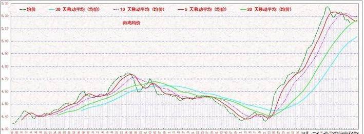 2025年乌肉鸡价格会涨还是会跌?-图1 2025年乌肉鸡价格会涨还是会跌?-图1