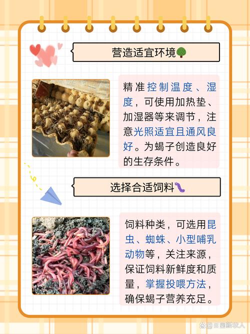 蝎子养殖技术关键注意点有哪些？-图2