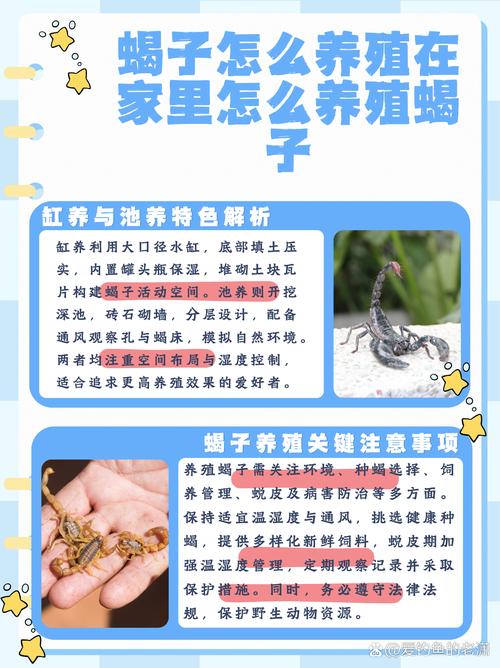 蝎子养殖技术关键注意点有哪些？-图1