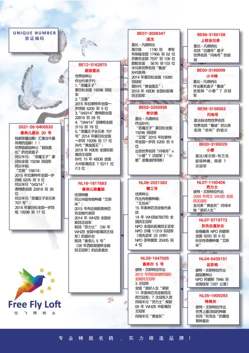 2025年6月乳鸽价格会涨还是跌?-图1 2025年6月乳鸽价格会涨还是跌?-图1