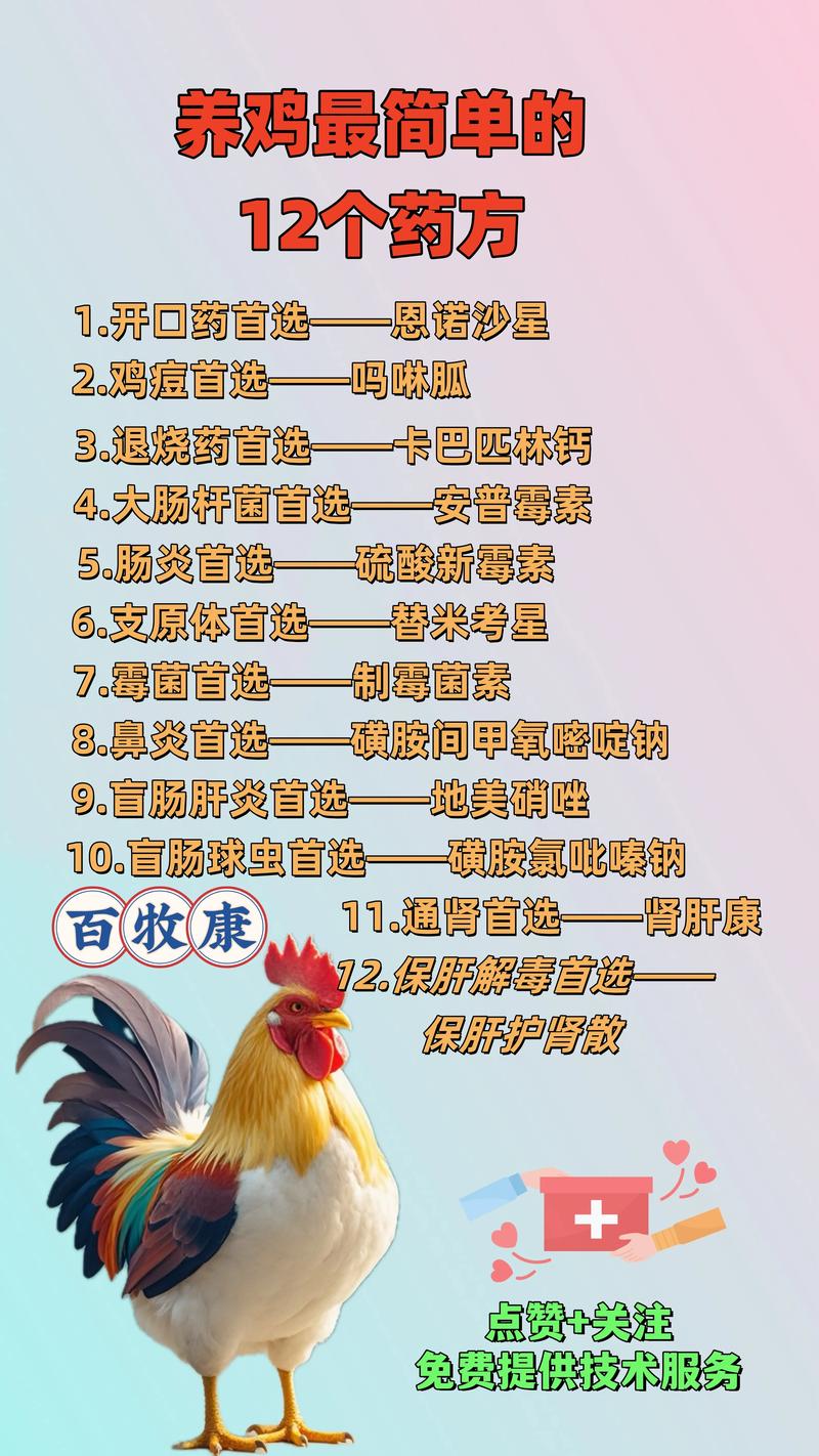 中药养鸡配方如何配才高效?-图1 中药养鸡配方如何配才高效?-图1