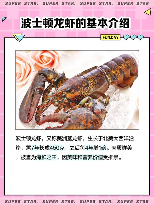 长沙大龙虾2025年价格会涨还是跌？-图3