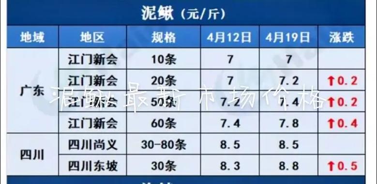 水中之参泥鳅价格为何波动大?-图1 水中之参泥鳅价格为何波动大?-图1