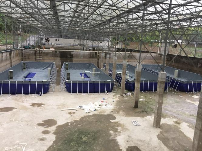 生物絮团技术如何实现高效水产养殖?-图1 生物絮团技术如何实现高效水产养殖?-图1