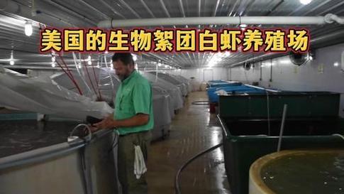 生物絮团技术如何实现高效水产养殖?-图2 生物絮团技术如何实现高效水产养殖?-图2