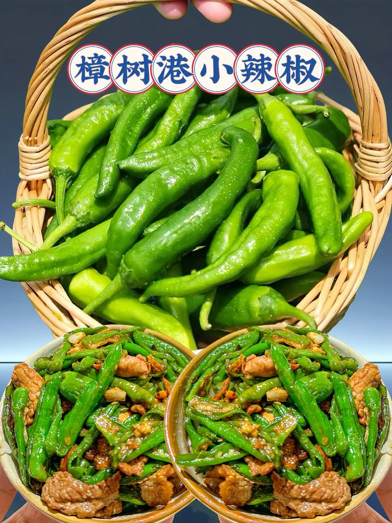 江西红辣椒是什么品种?-图1 江西红辣椒是什么品种?-图1