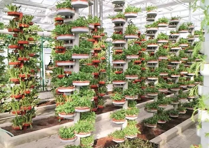 家庭种植养殖加工新技术有哪些实用妙招?-图3 家庭种植养殖加工新技术有哪些实用妙招?-图3