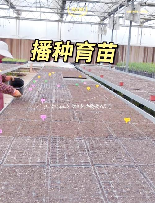 家庭种植养殖加工新技术有哪些实用妙招?-图2 家庭种植养殖加工新技术有哪些实用妙招?-图2