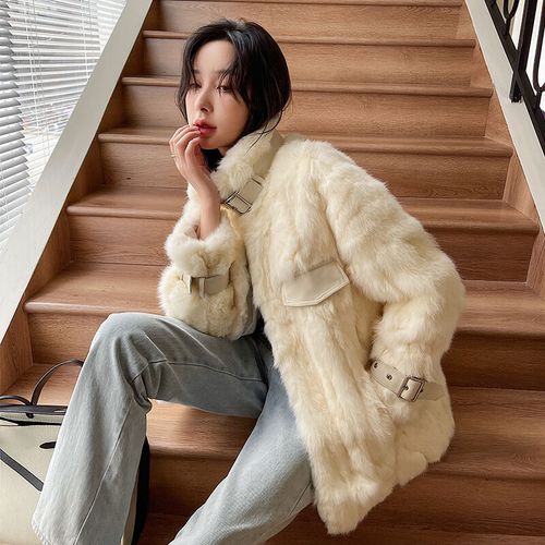 2025年2月獭兔价格为何波动?-图1 2025年2月獭兔价格为何波动?-图1