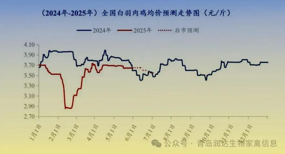 辽宁2025年毛鸡价格会涨还是跌？-图3