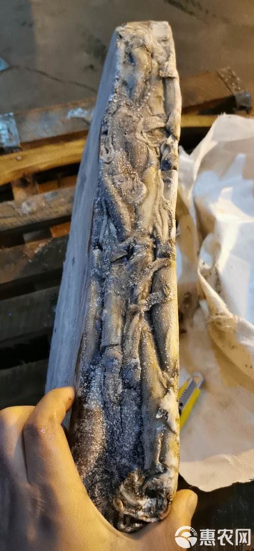 2025年阿根廷鱿鱼价格会涨还是跌？-图2