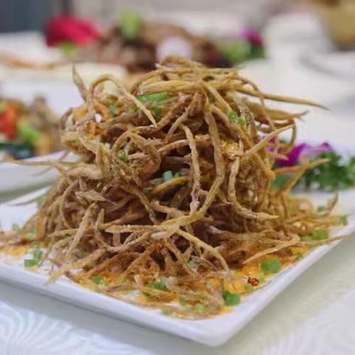 福建鳗鱼苗现价多少?-图1 福建鳗鱼苗现价多少?-图1